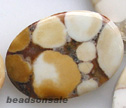 Conglomerate Jasper
